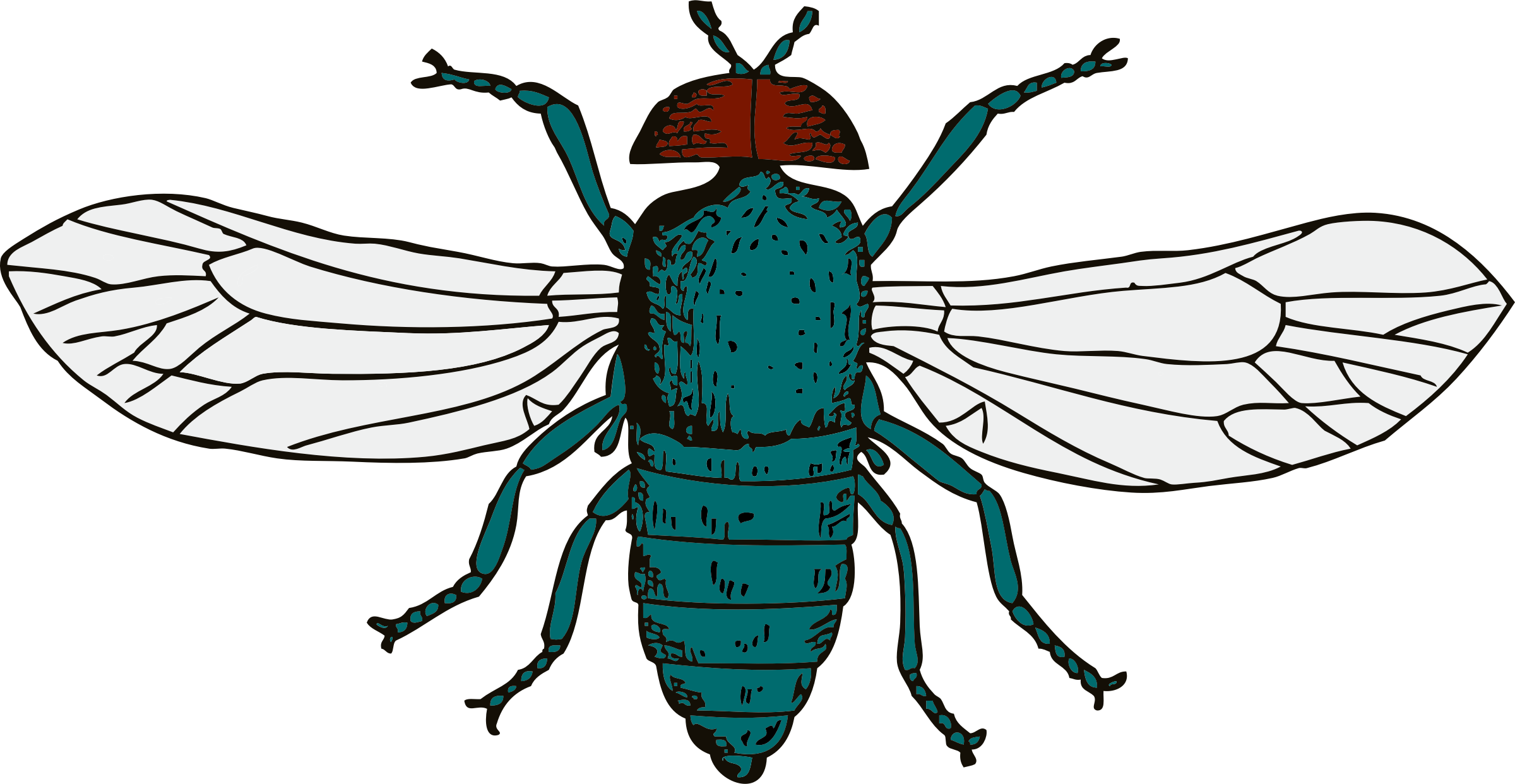 Fly Png 9 PNG Image