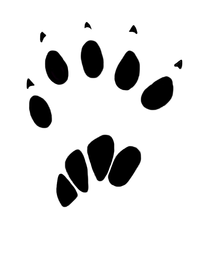 Footprint Images Animal PNG Image High Quality PNG Image