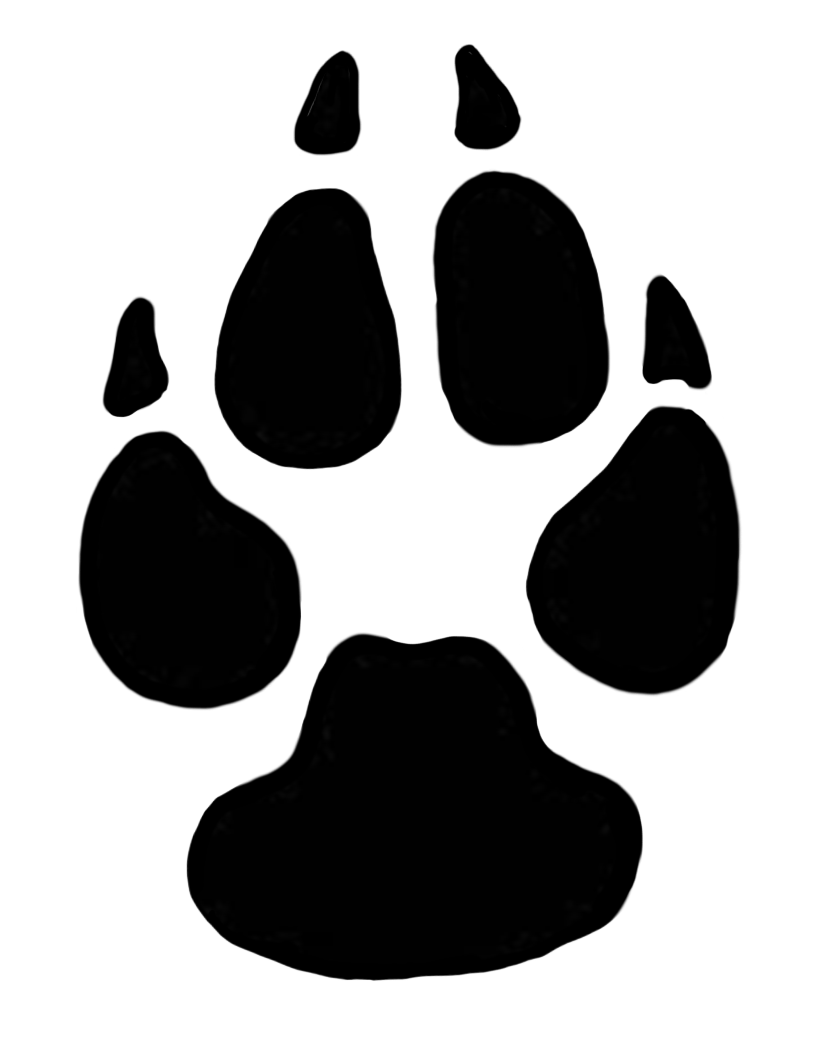 Footprint Picture Animal Free Download Image PNG Image