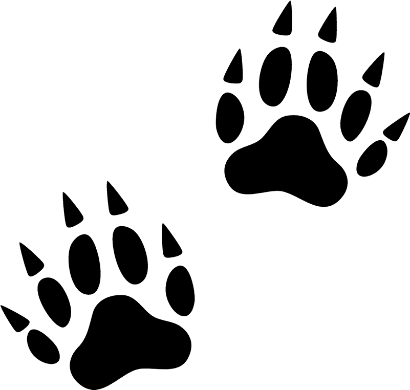 Footprint Animal Free Clipart HQ PNG Image