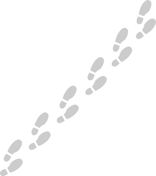 Footprints Shoe PNG Image High Quality PNG Image
