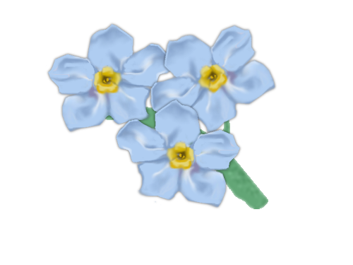 Forget Me Not Transparent Picture PNG Image
