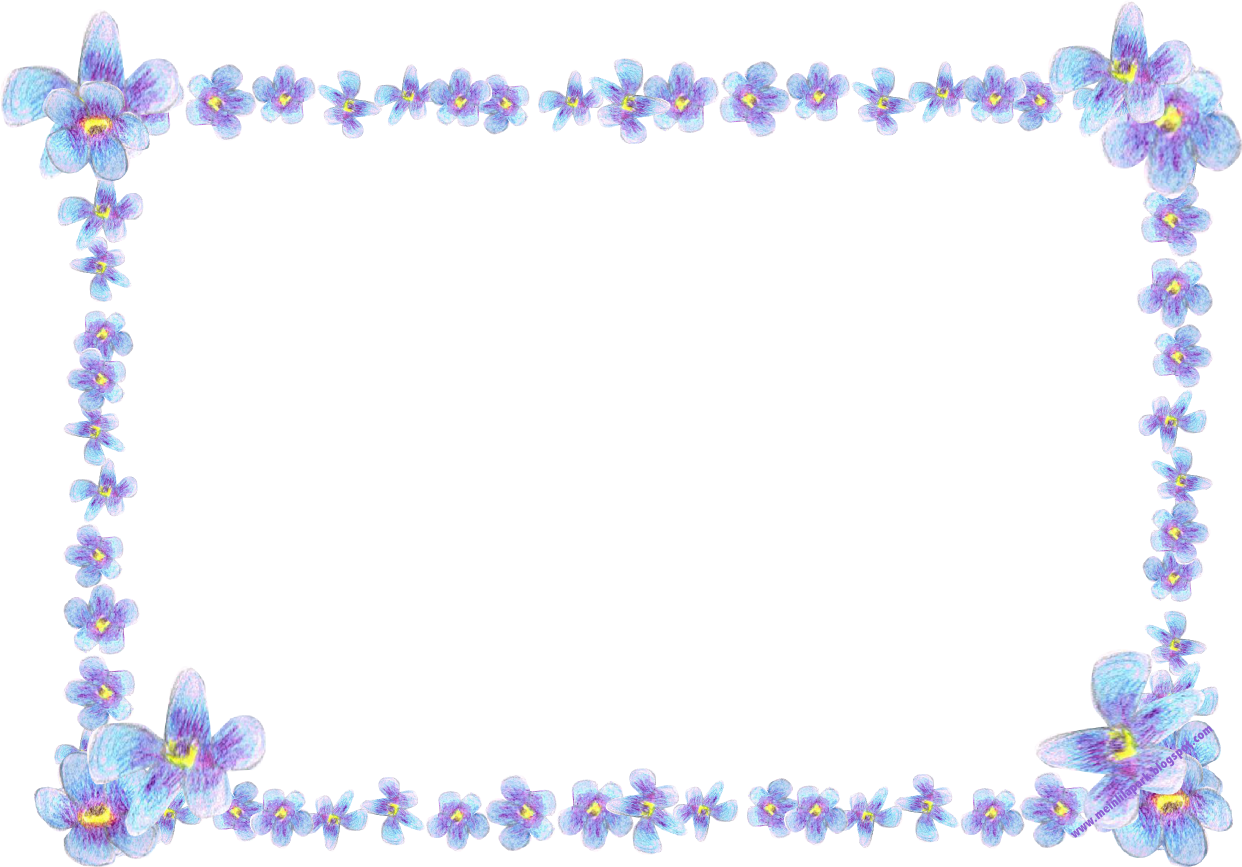 Forget Me Not Transparent PNG Image