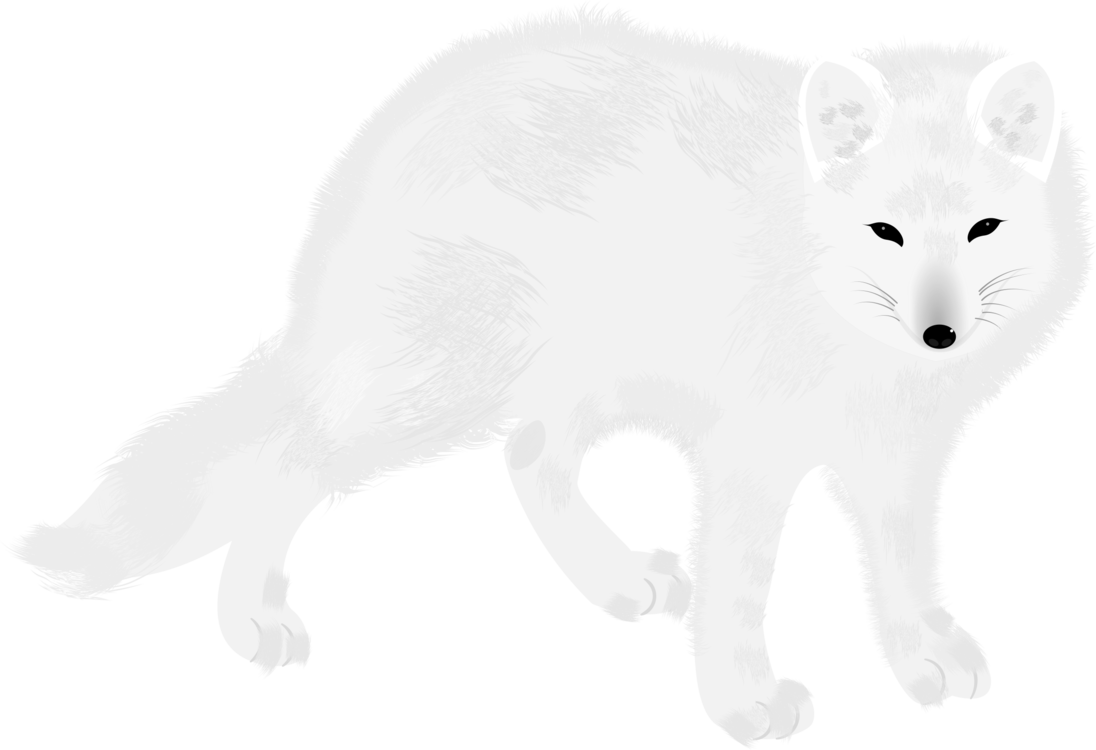 Arctic Fox Snow Free Download PNG HQ PNG Image