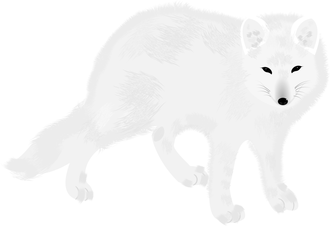 White Fox Arctic Download HQ PNG Image