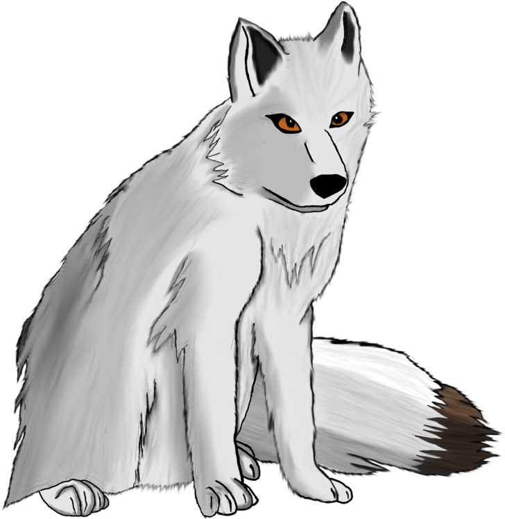 Photos White Fox Arctic Free Download PNG HQ PNG Image