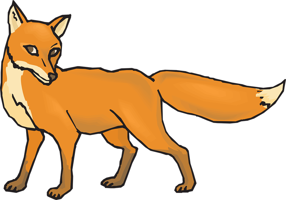 Fox Png 9 PNG Image