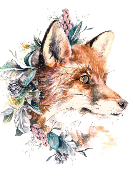 Tattoo Gray Fox Paper Wolf Red PNG Image