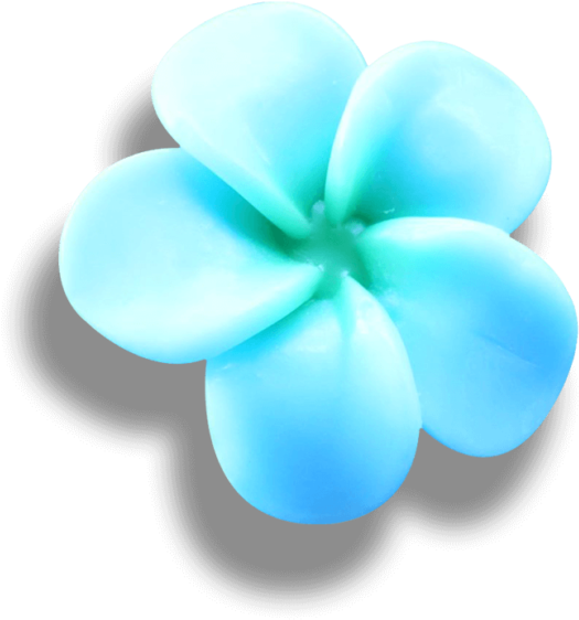 Frangipani Photos Free Download PNG HQ PNG Image