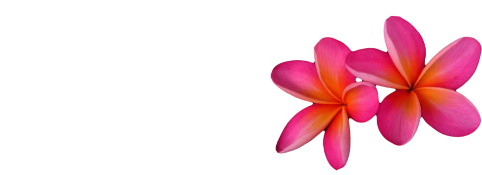 Pink Frangipani Flower PNG File HD PNG Image