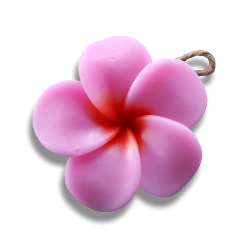 Pink Frangipani Flower Free HD Image PNG Image