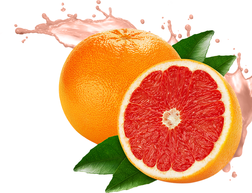 Grapefruit Half PNG Download Free PNG Image