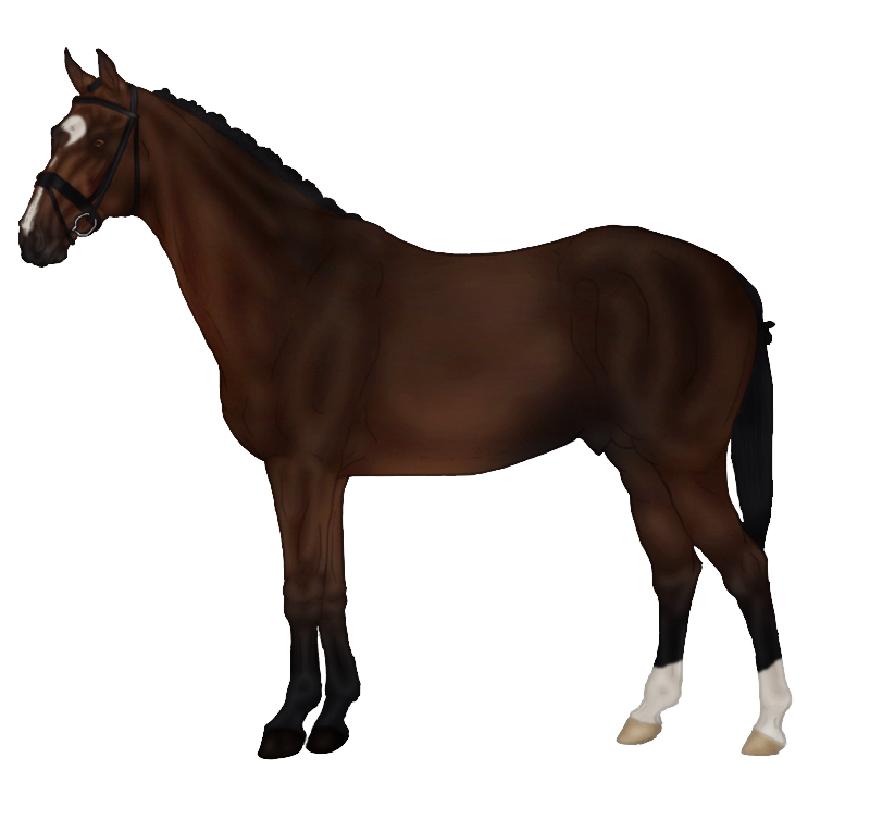 Sims Horse Markings Rein Pets Free Transparent Image HQ PNG Image