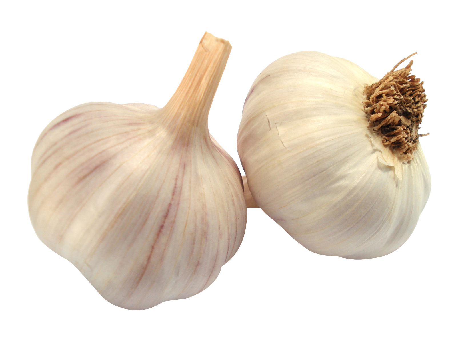 Garlic Transparent PNG Image