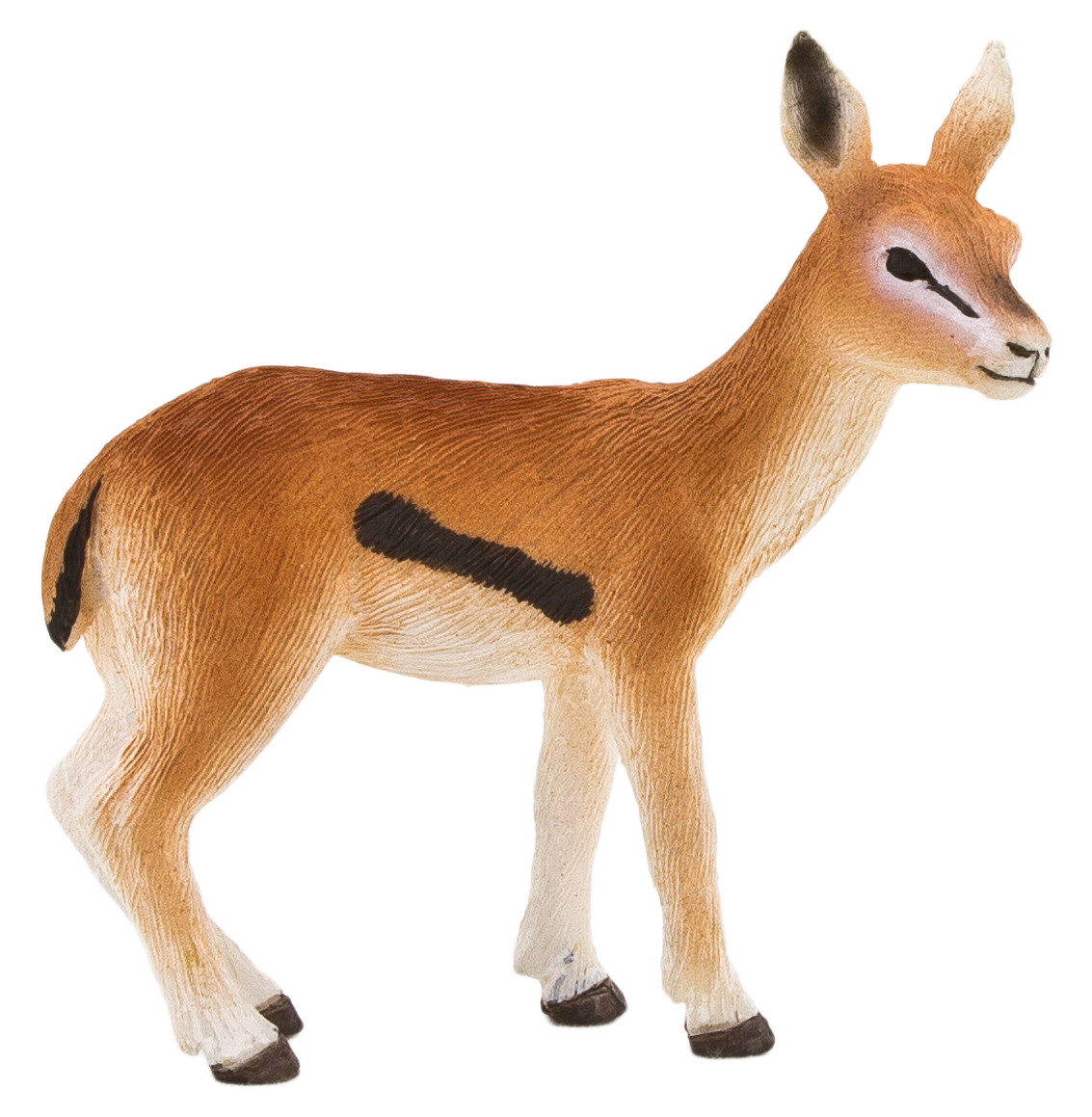 Gazelle Transparent Background PNG Image