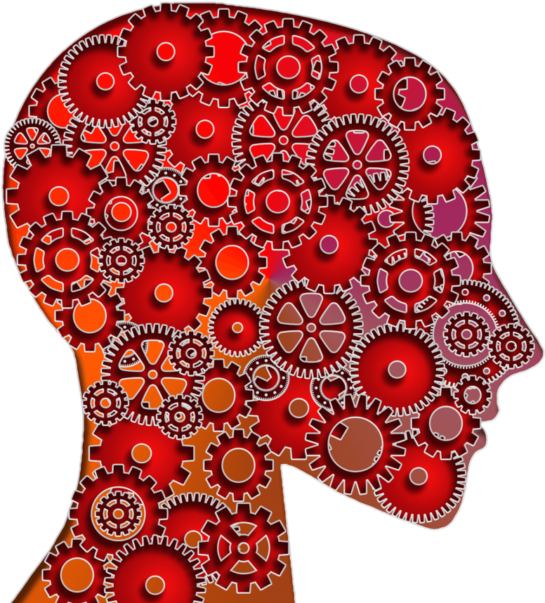 Brain Gears PNG Image High Quality PNG Image