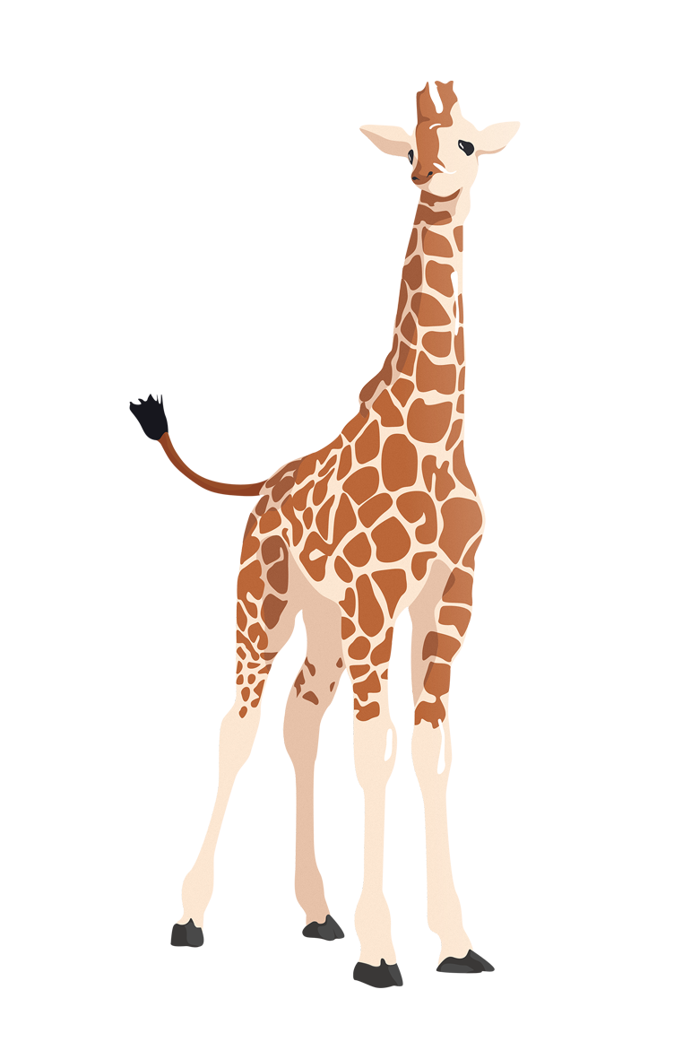 Small Photos Giraffe Vector Free Download PNG HD PNG Image