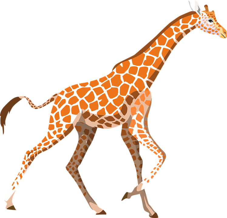 Giraffe Vector Free Download PNG HQ PNG Image