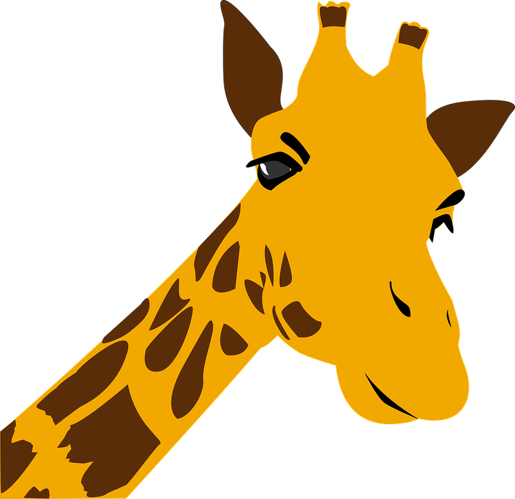 Giraffe Vector PNG Image High Quality PNG Image