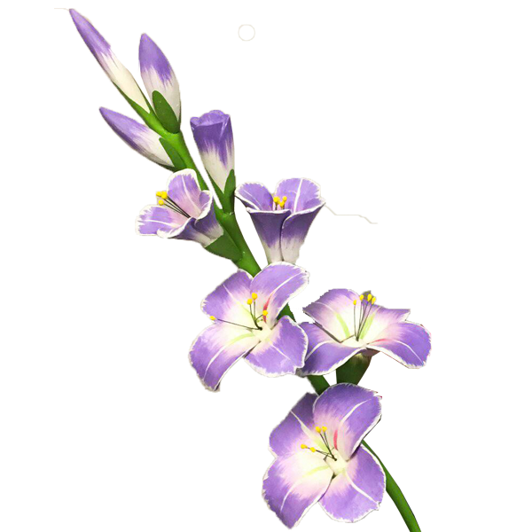 Gladiolus Picture PNG Image