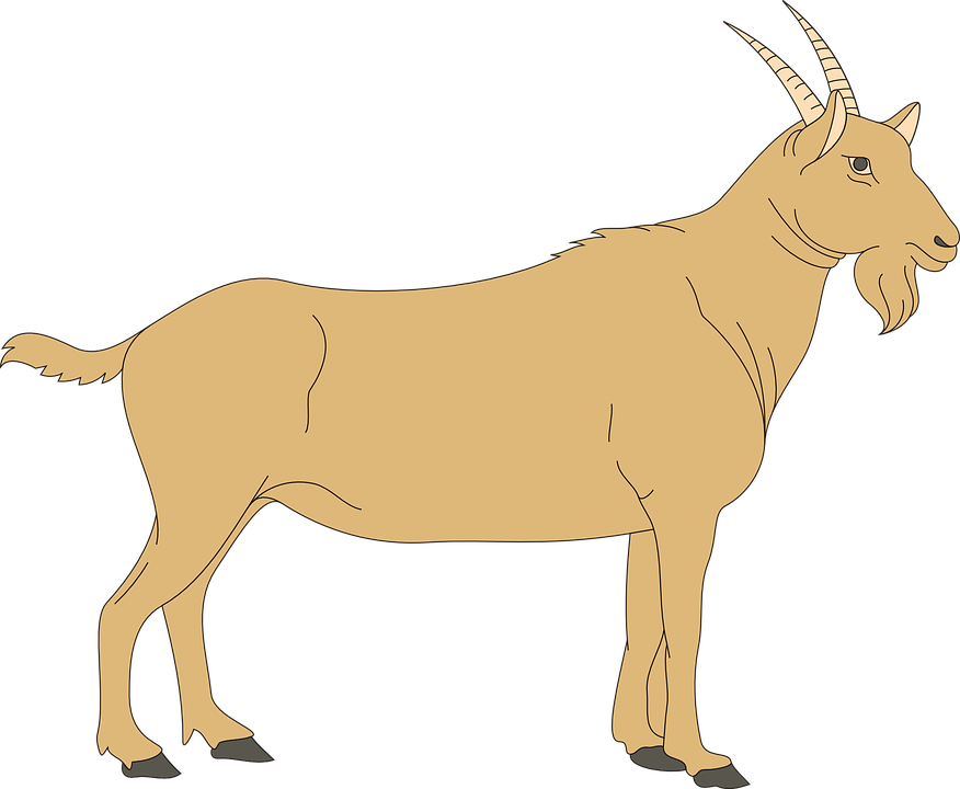 Vector Goat PNG Free Photo PNG Image