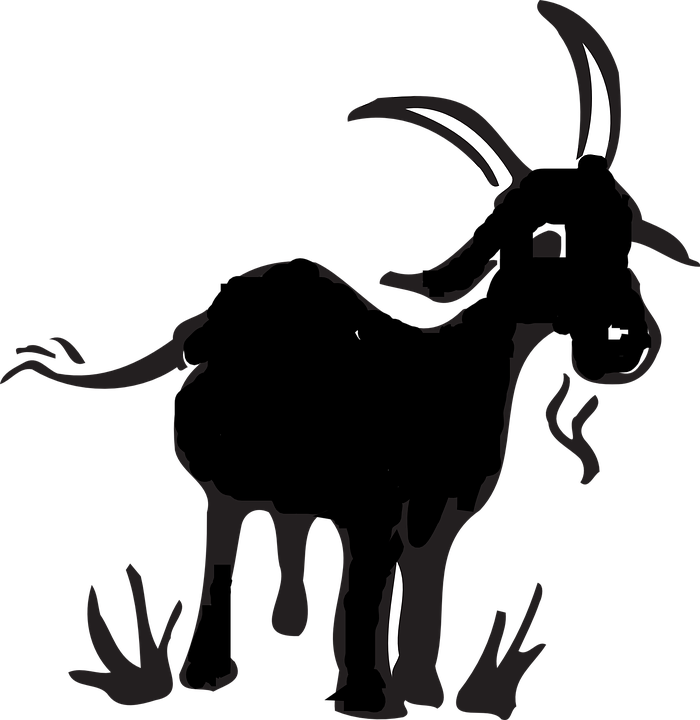 Vector Goat HD Image Free PNG Image