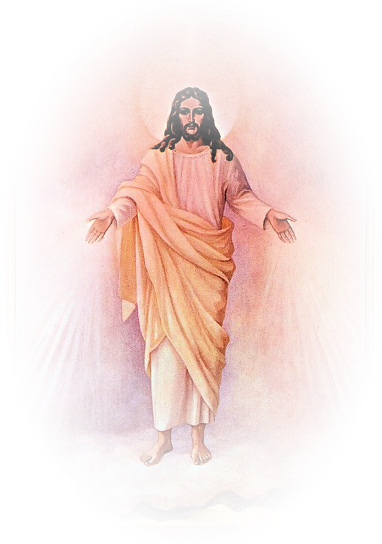 Download Mercy Christ Heart Jesus Sacred Divine HQ PNG Image | FreePNGImg