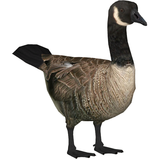 Goose Clipart PNG Image