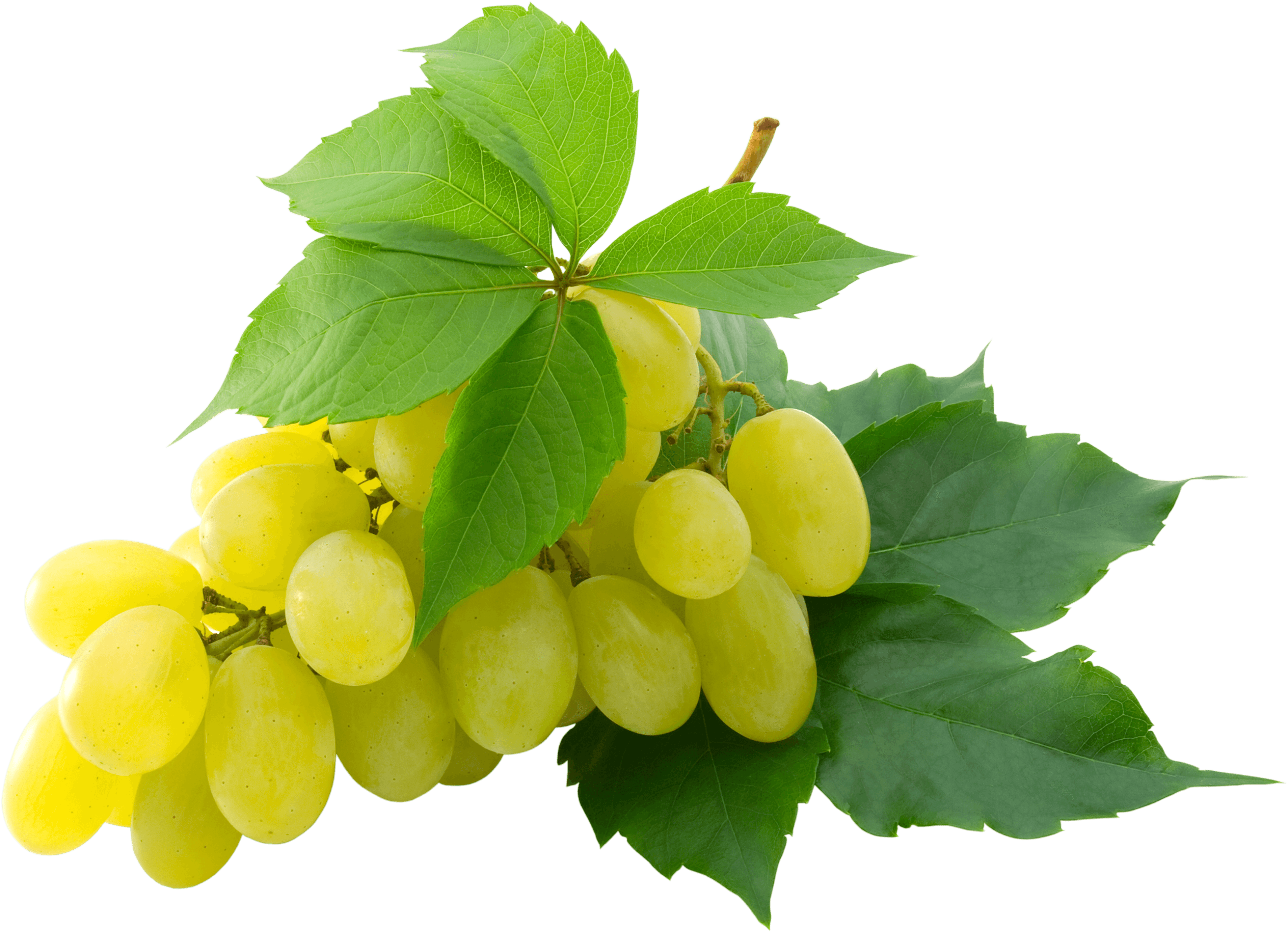 Grape Png Image PNG Image