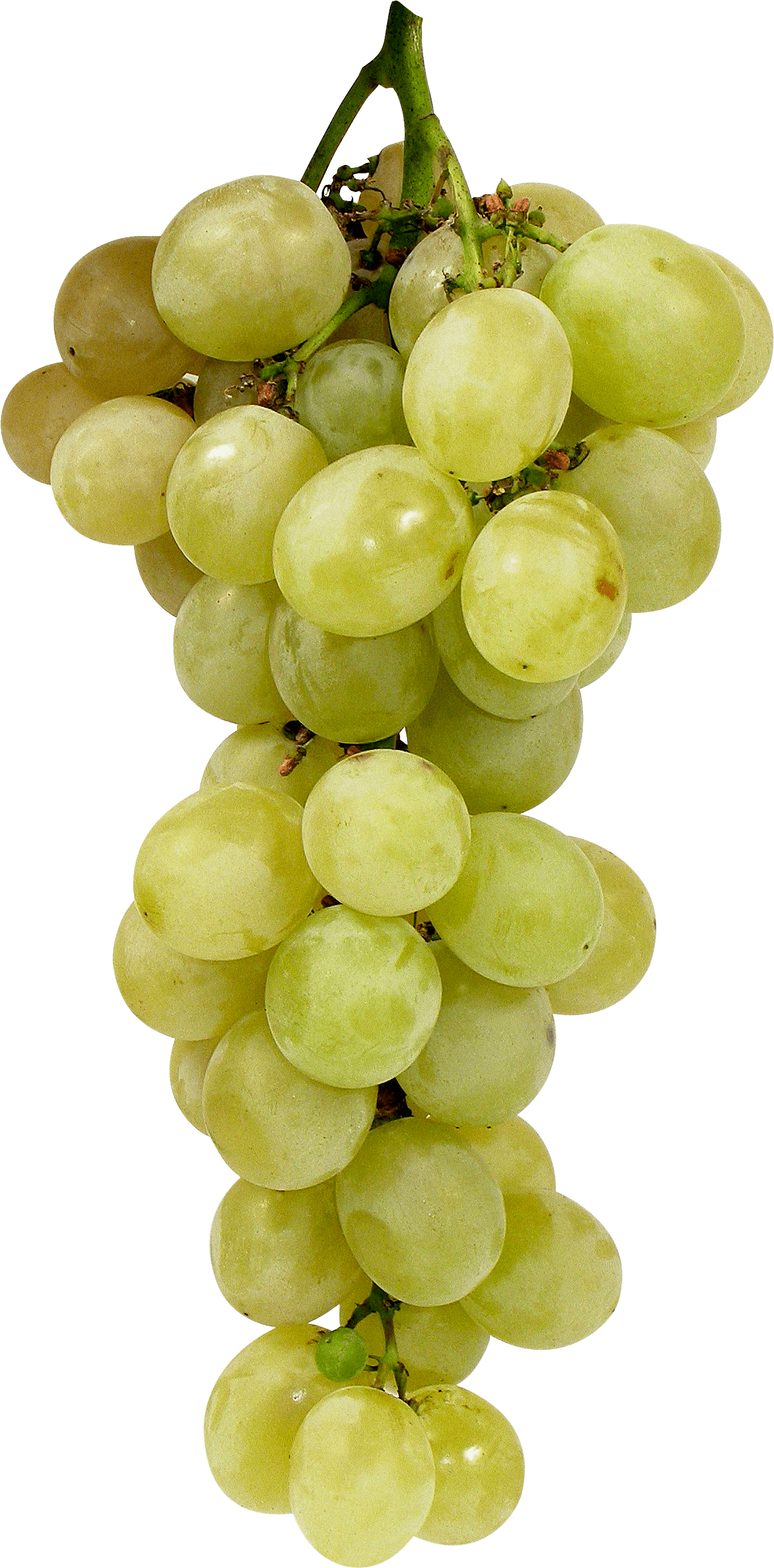 Green Grape Png Image PNG Image