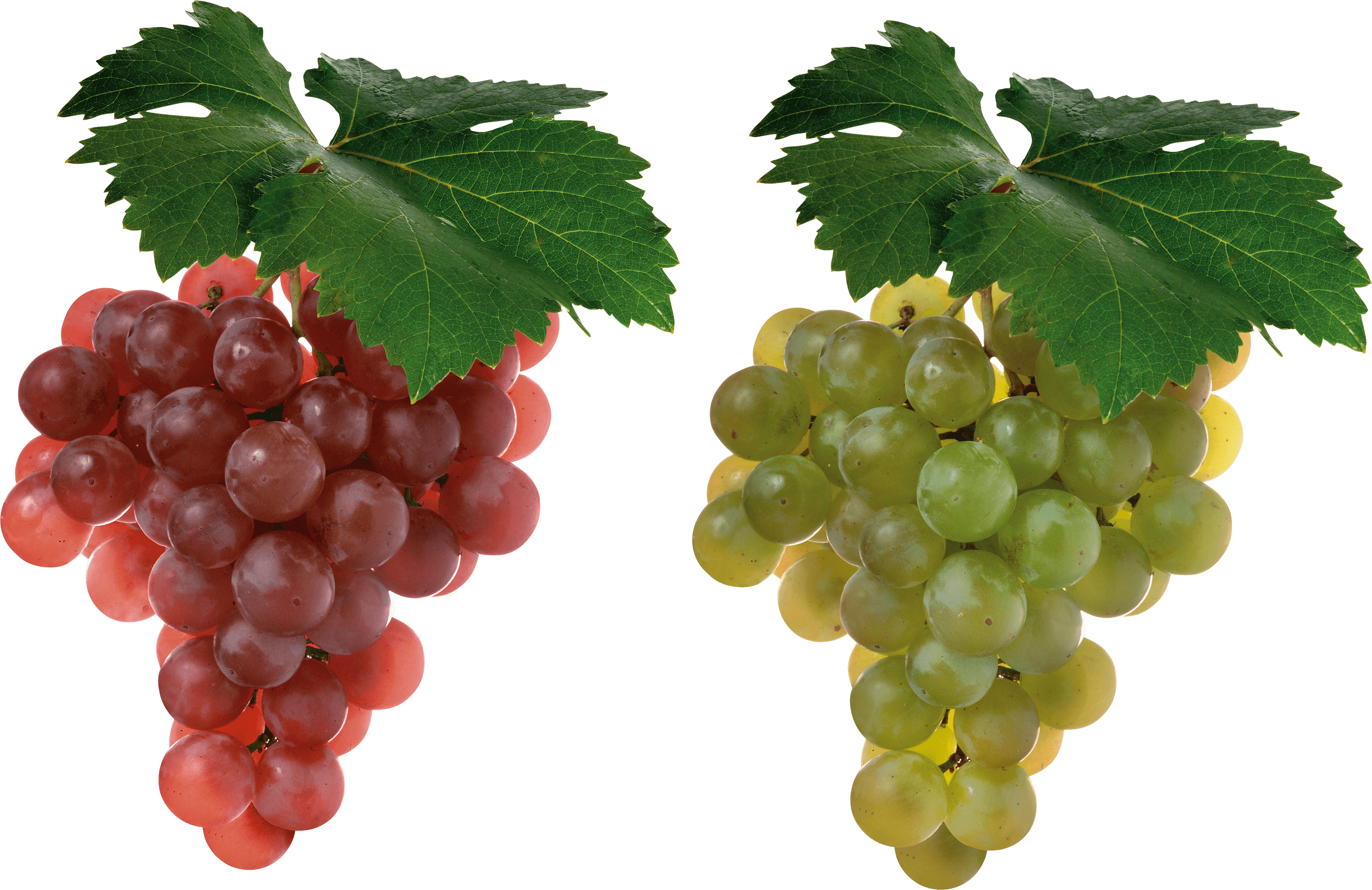 Grape Png Image PNG Image