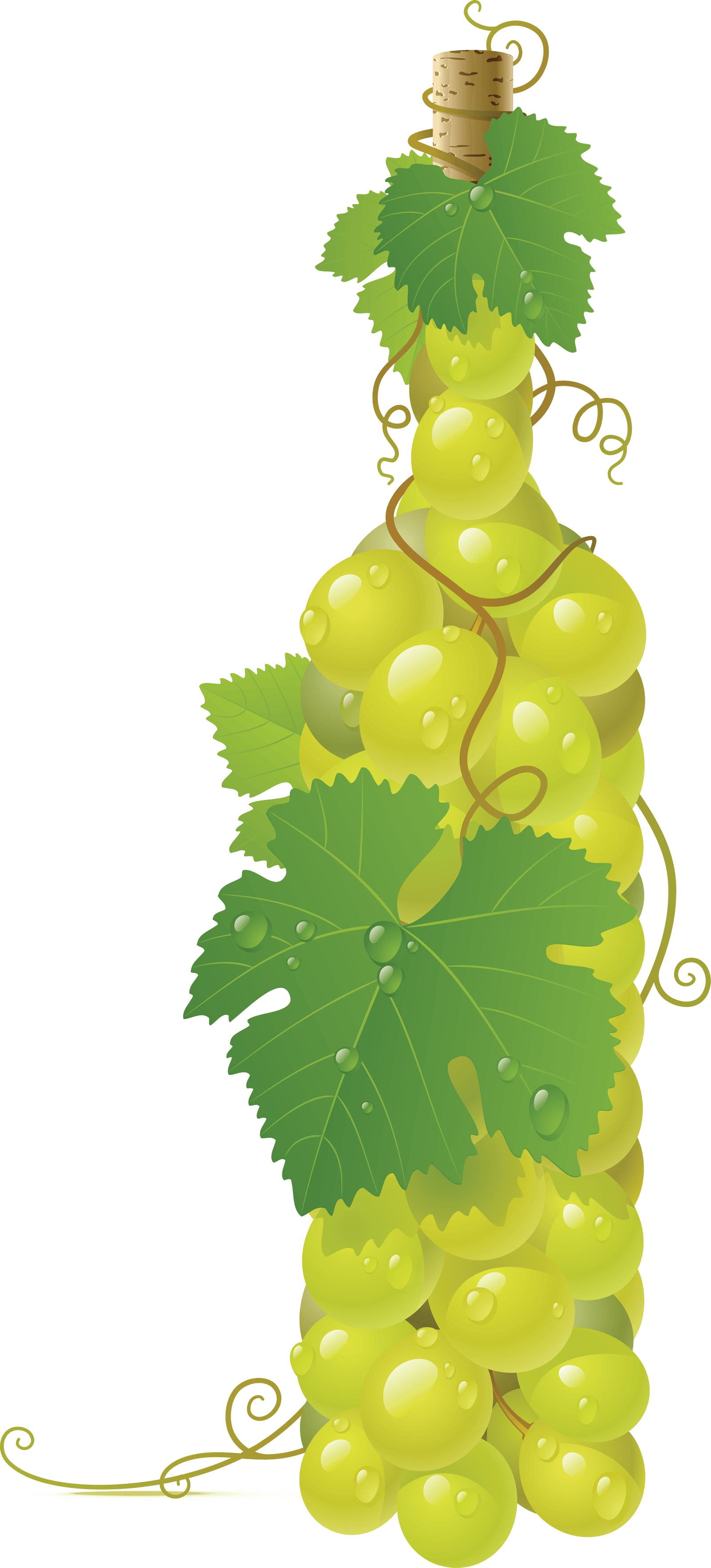 Green Grape Png Image PNG Image