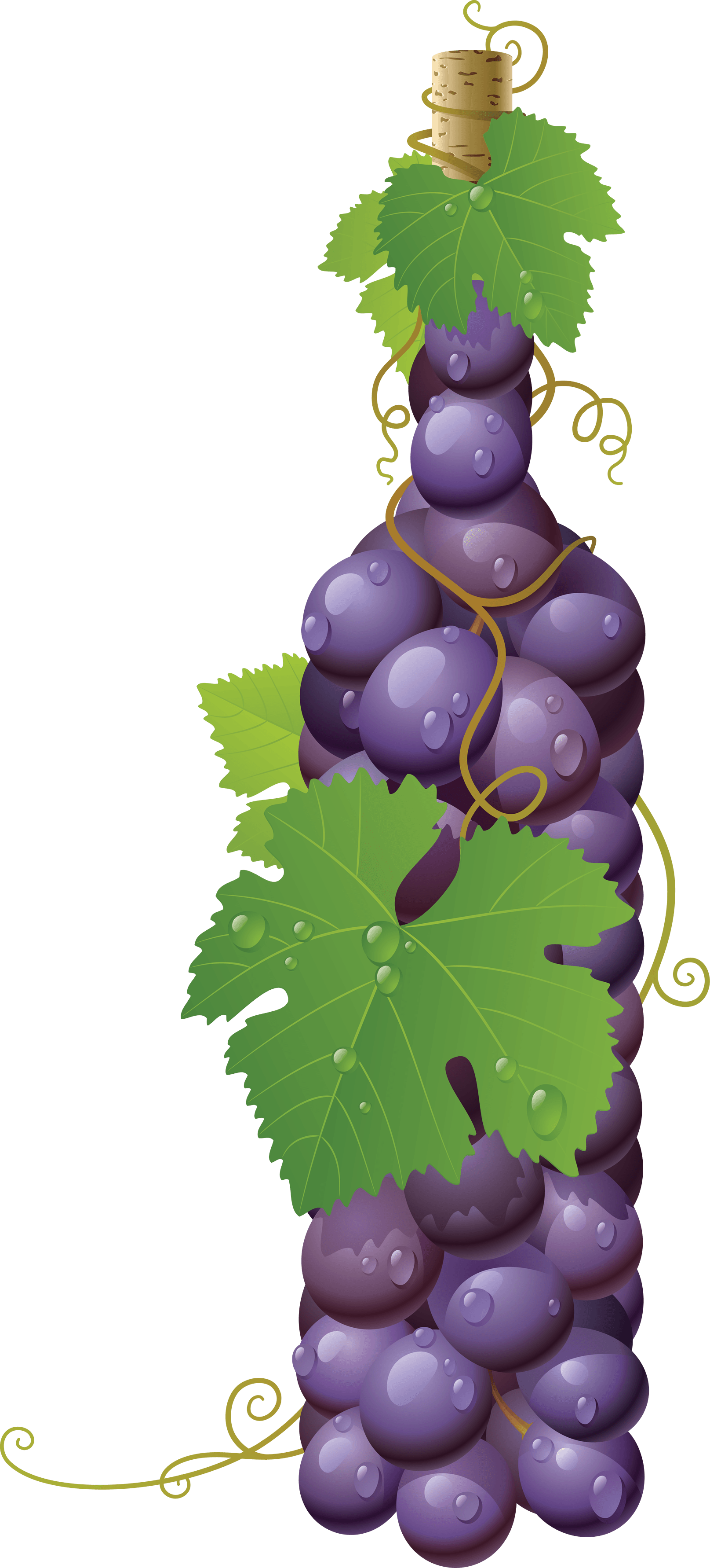 Grape Png Image PNG Image