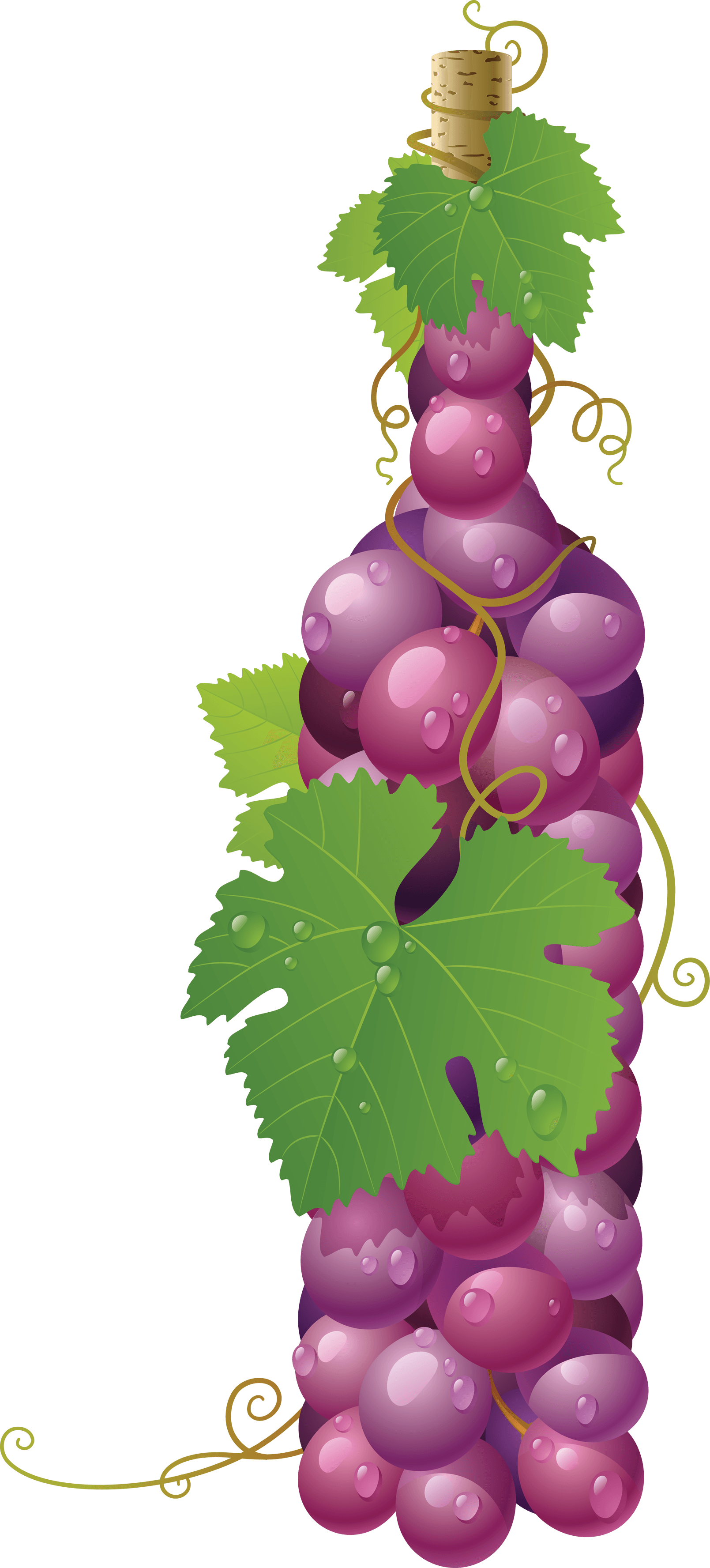 Red Grape Png Image PNG Image