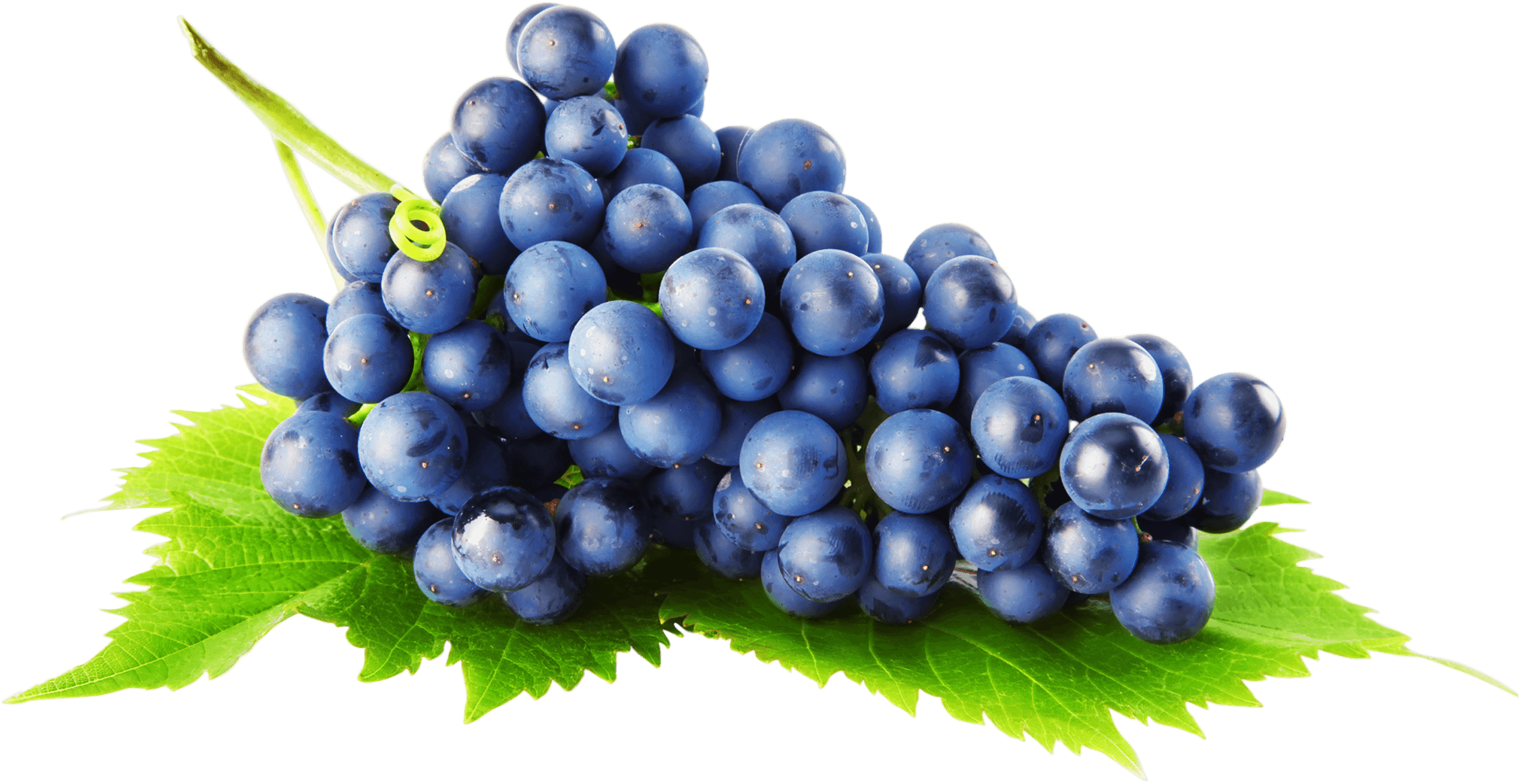 Grape Png Image PNG Image