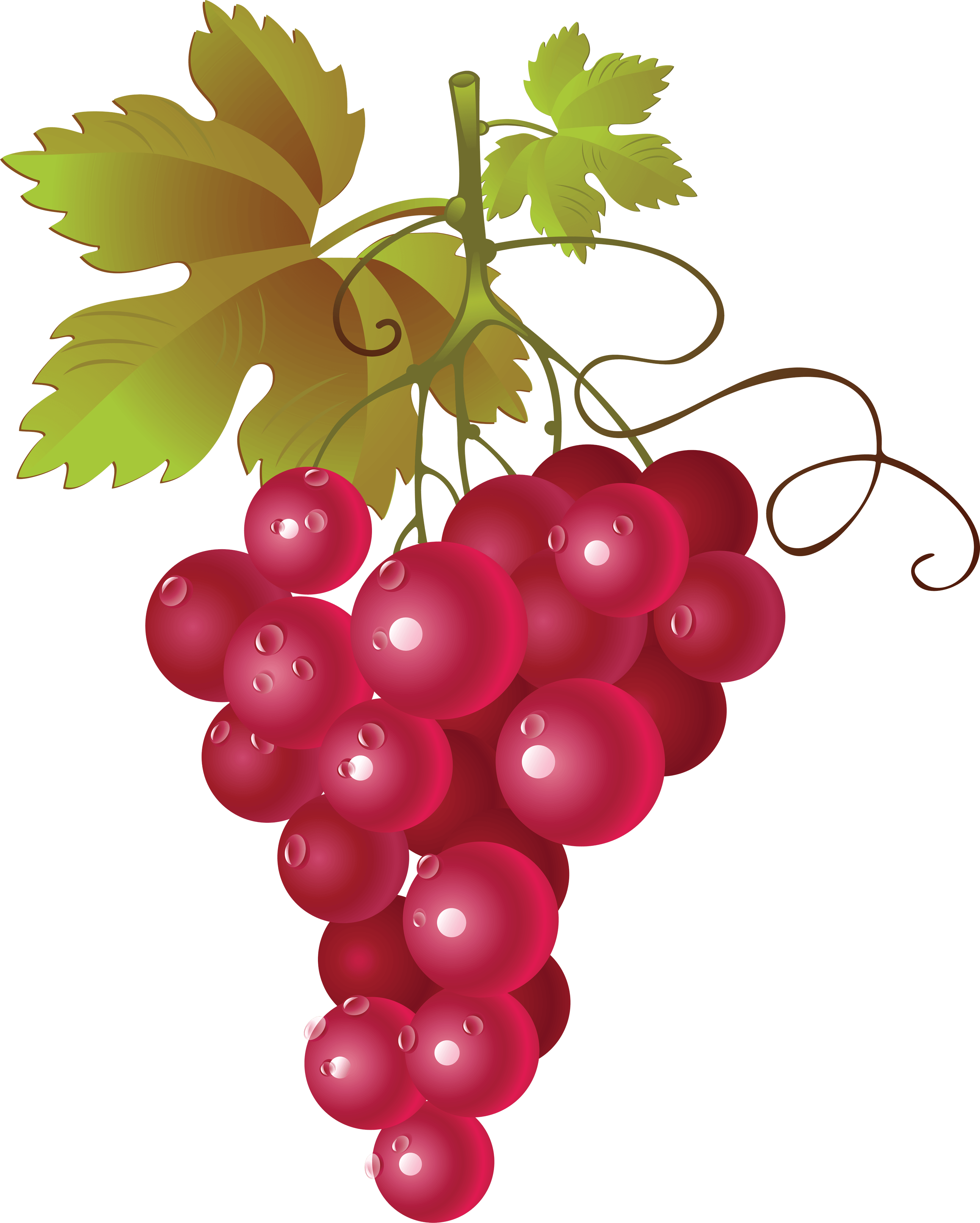 Grape Png Image PNG Image