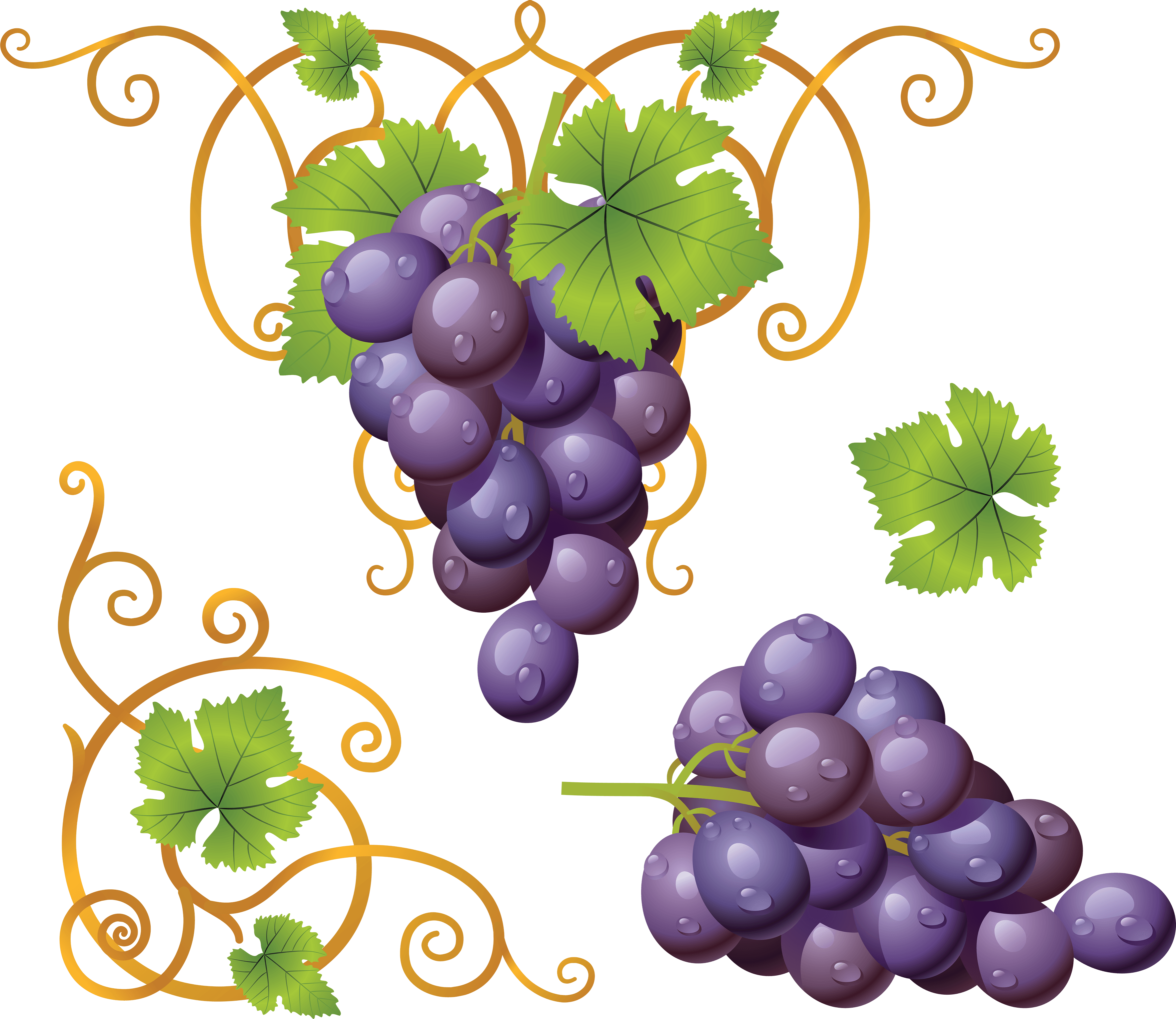 Grape Png Image PNG Image
