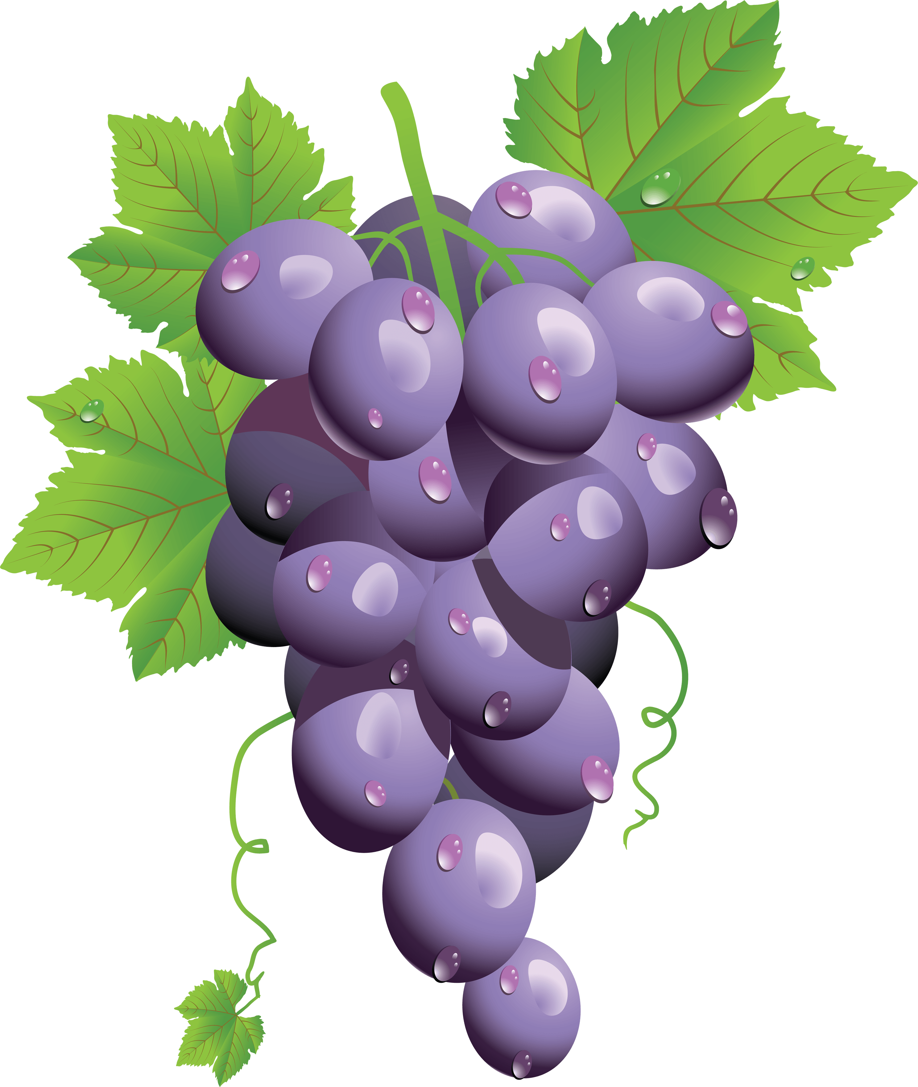 Grape Png Image PNG Image