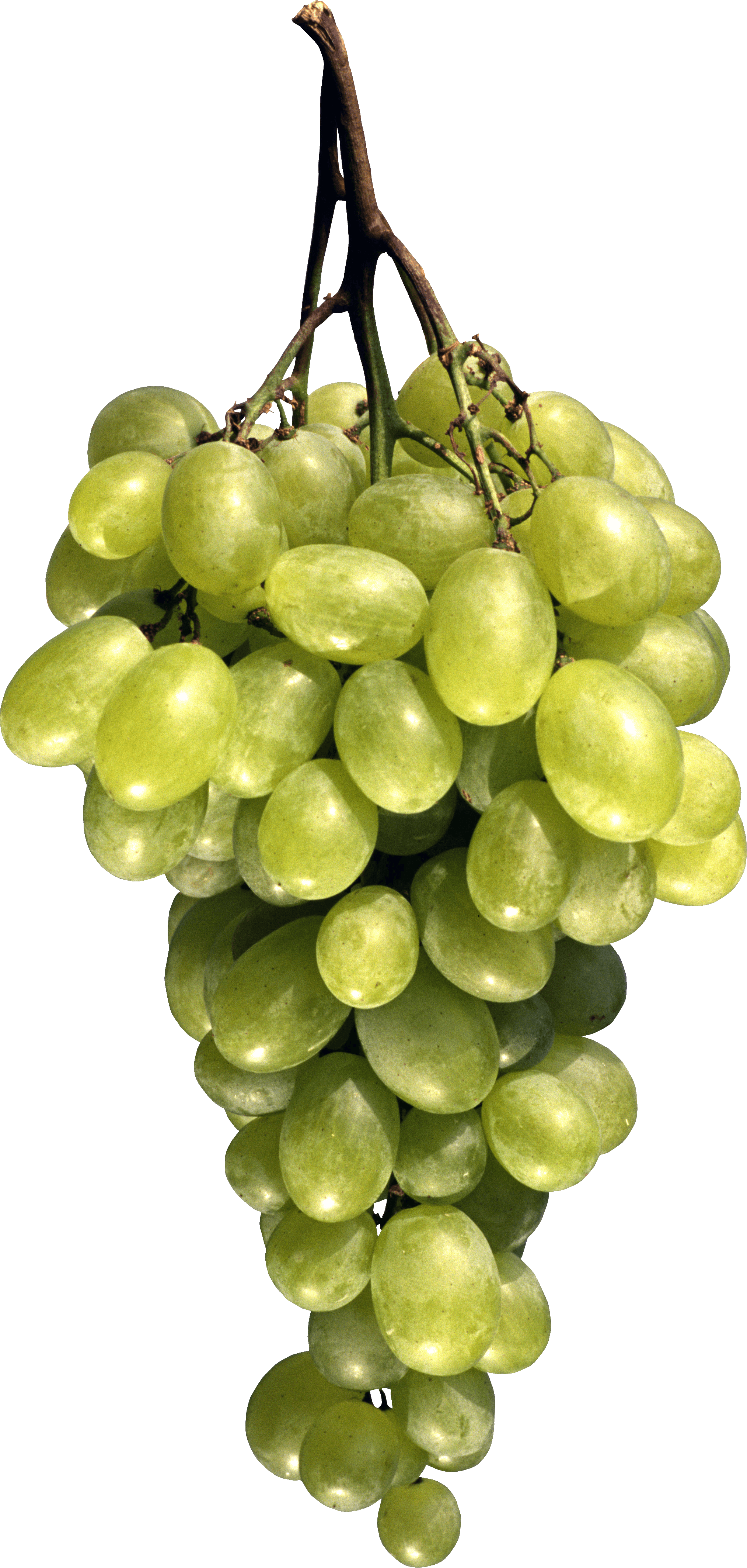 Green Grape Png Image PNG Image