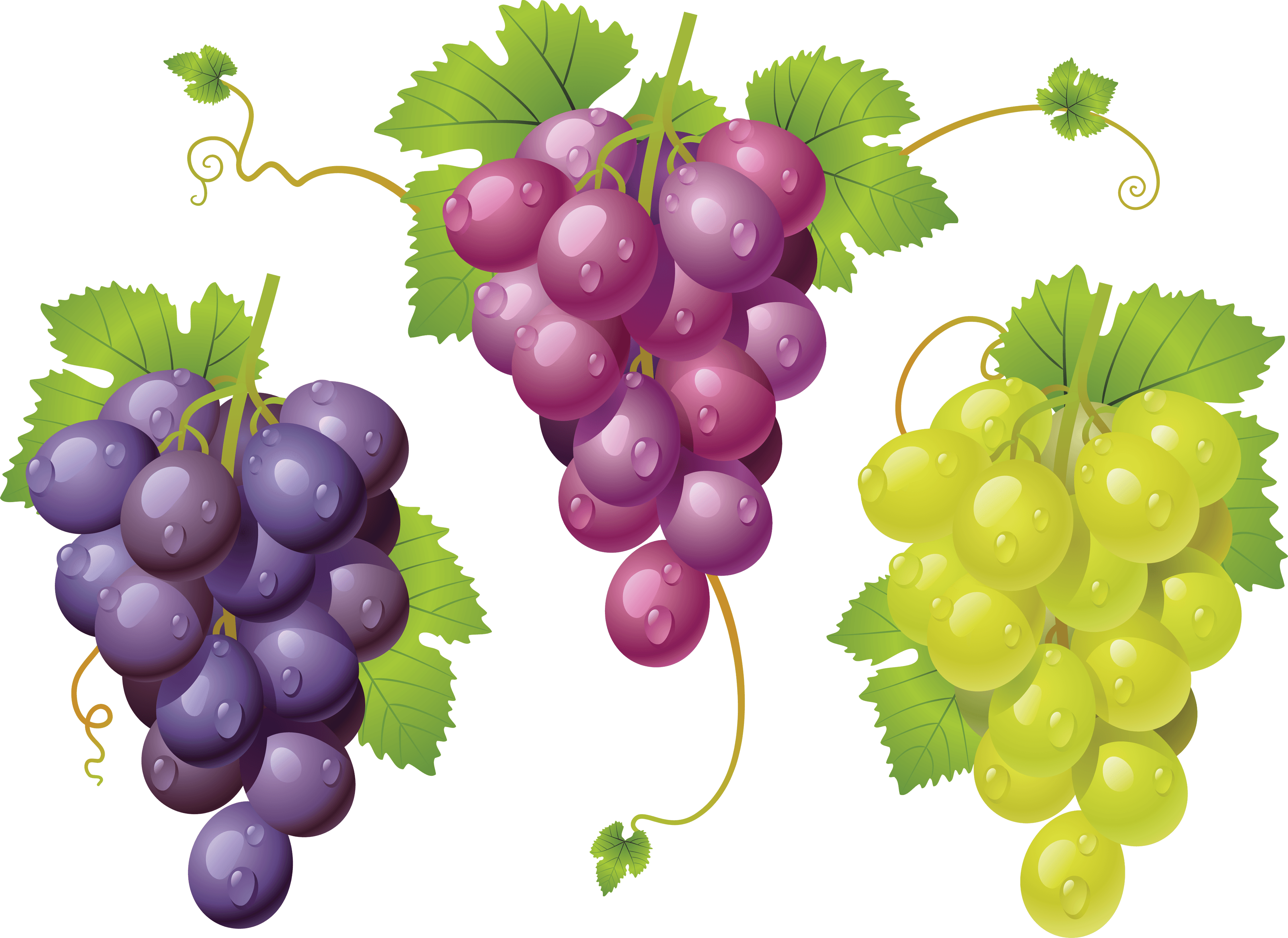 Grape Png Image PNG Image