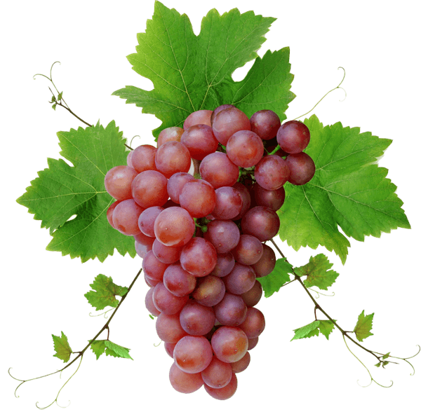 Grape Png Image Download Picture PNG Image