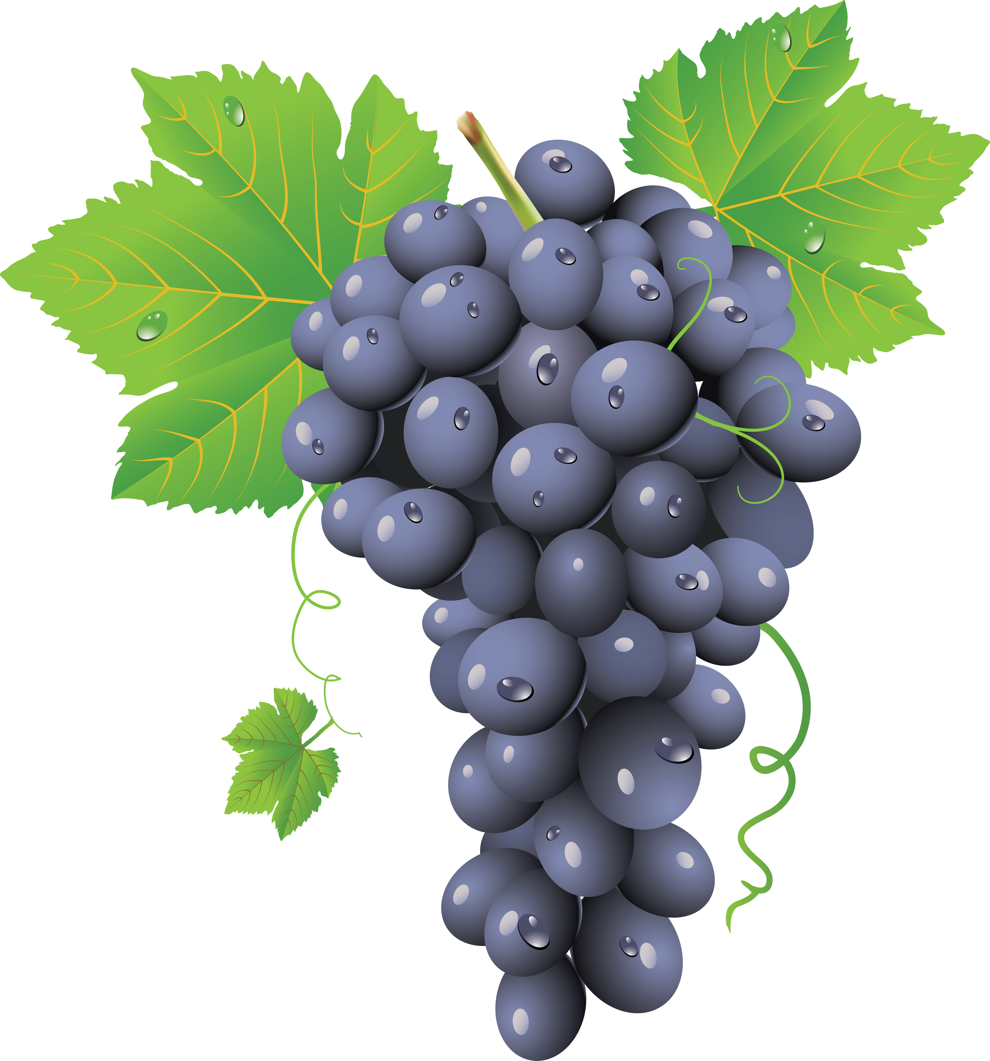 Grape Png Image PNG Image