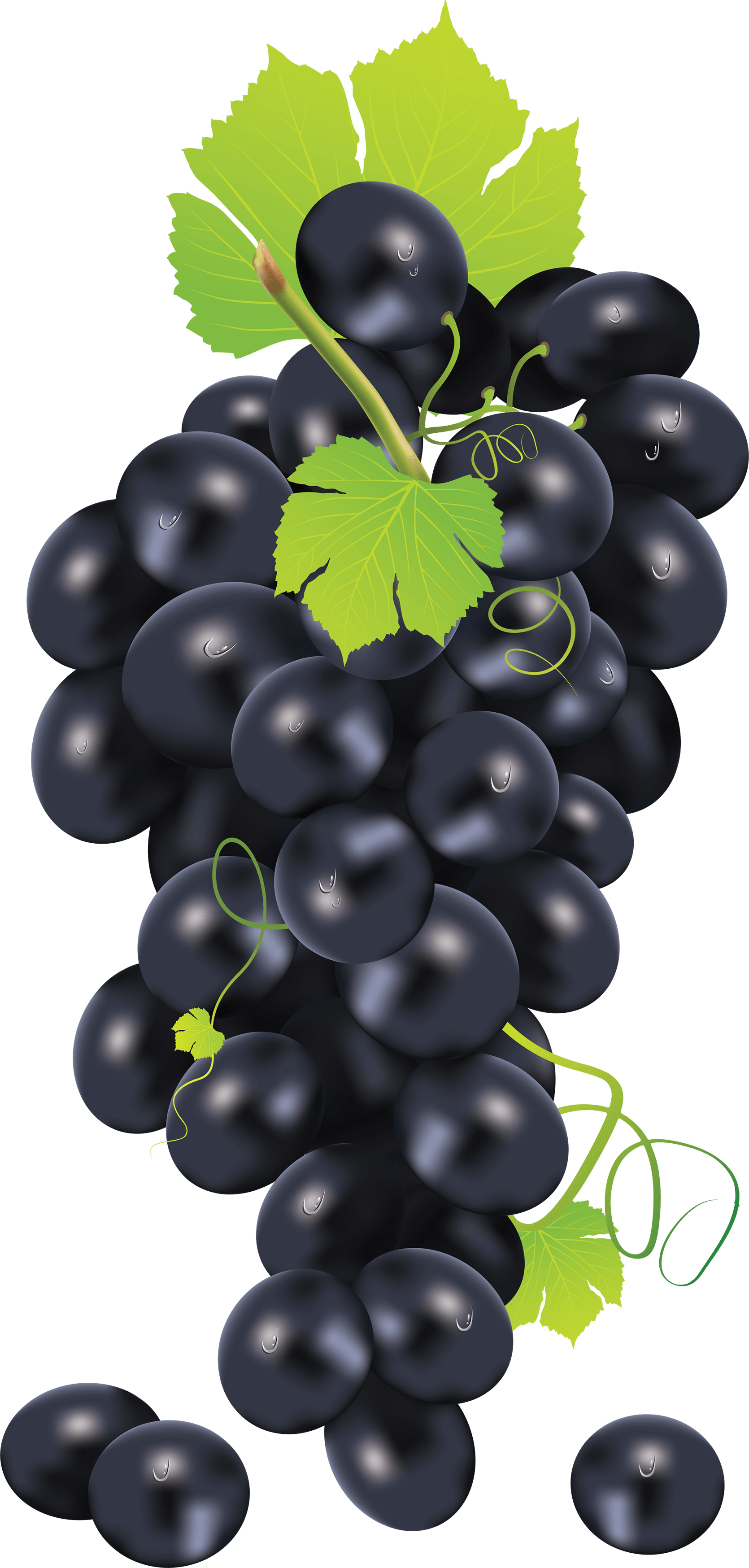 Black Grape Png Image PNG Image