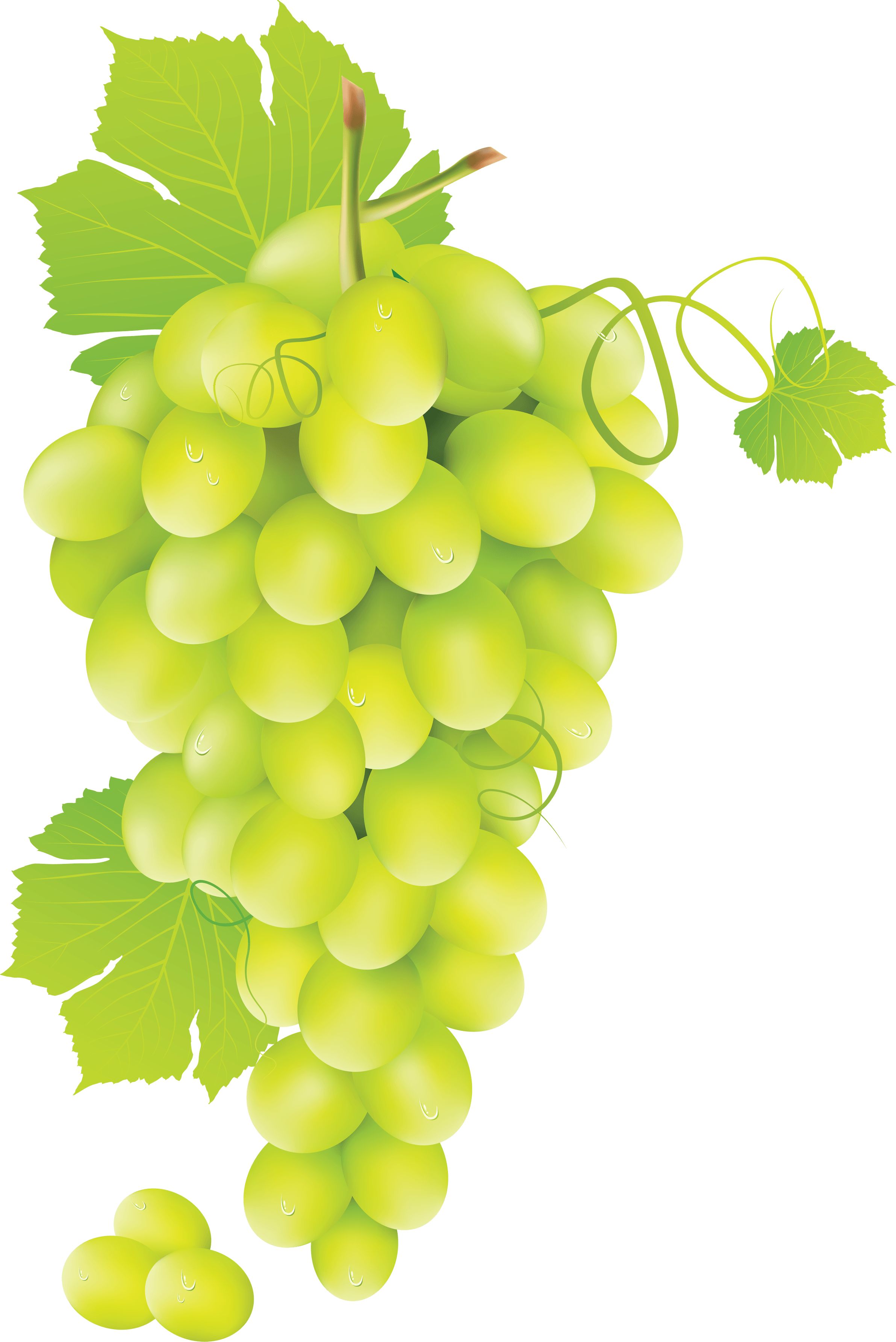 Green Grape Png Image PNG Image