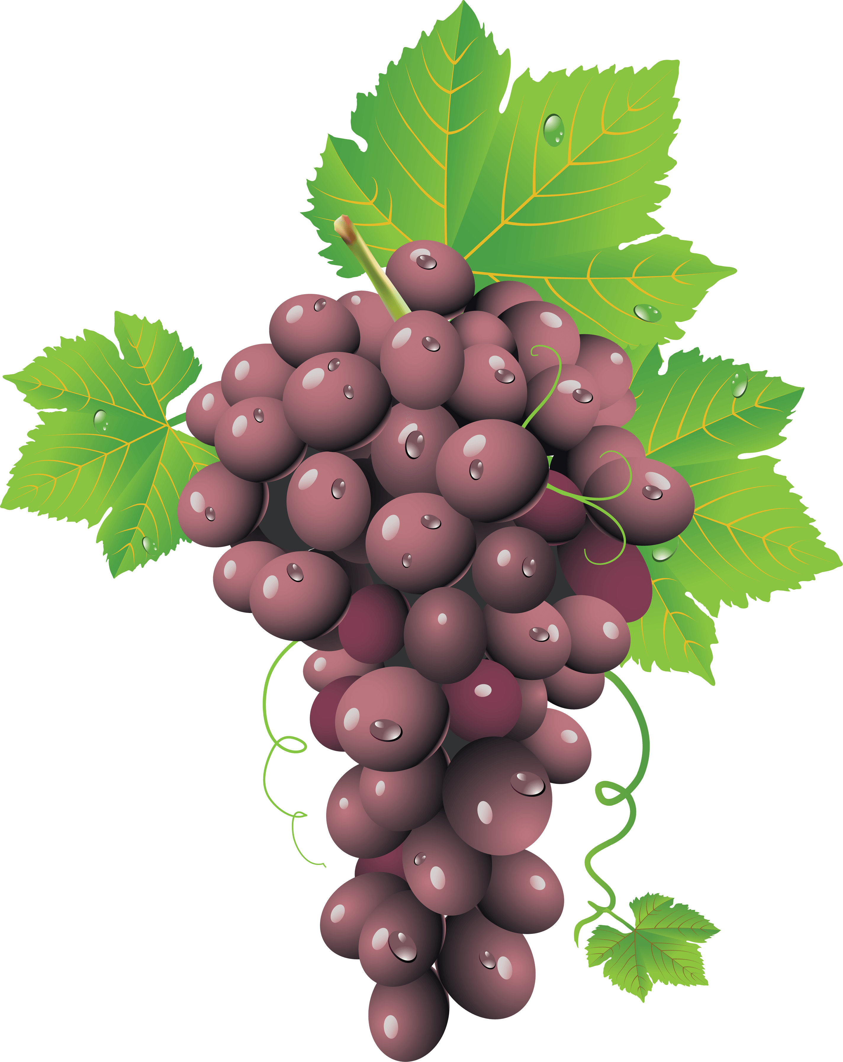 Red Grape Png Image PNG Image