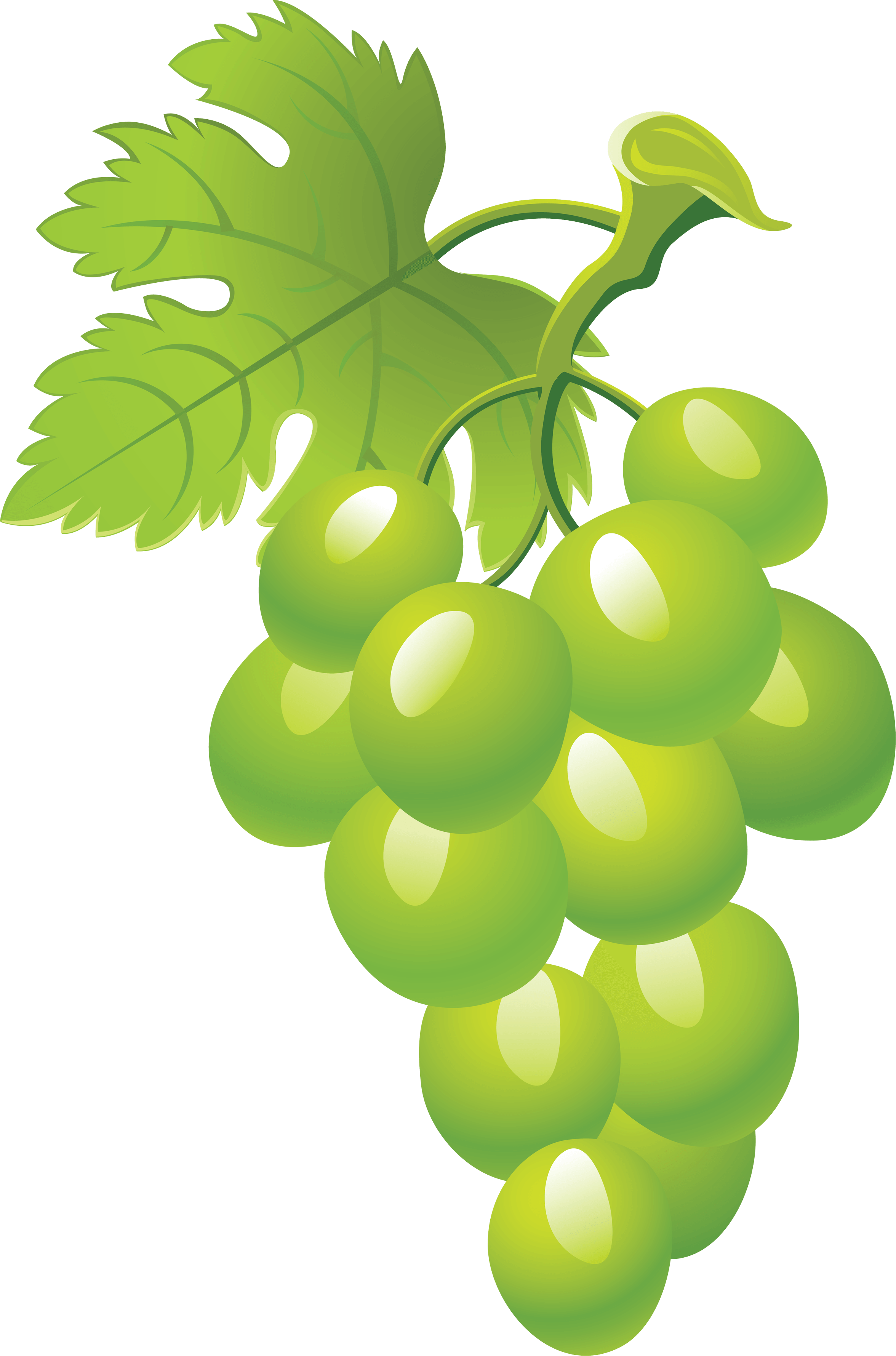 Green Grape Picture Png Image PNG Image