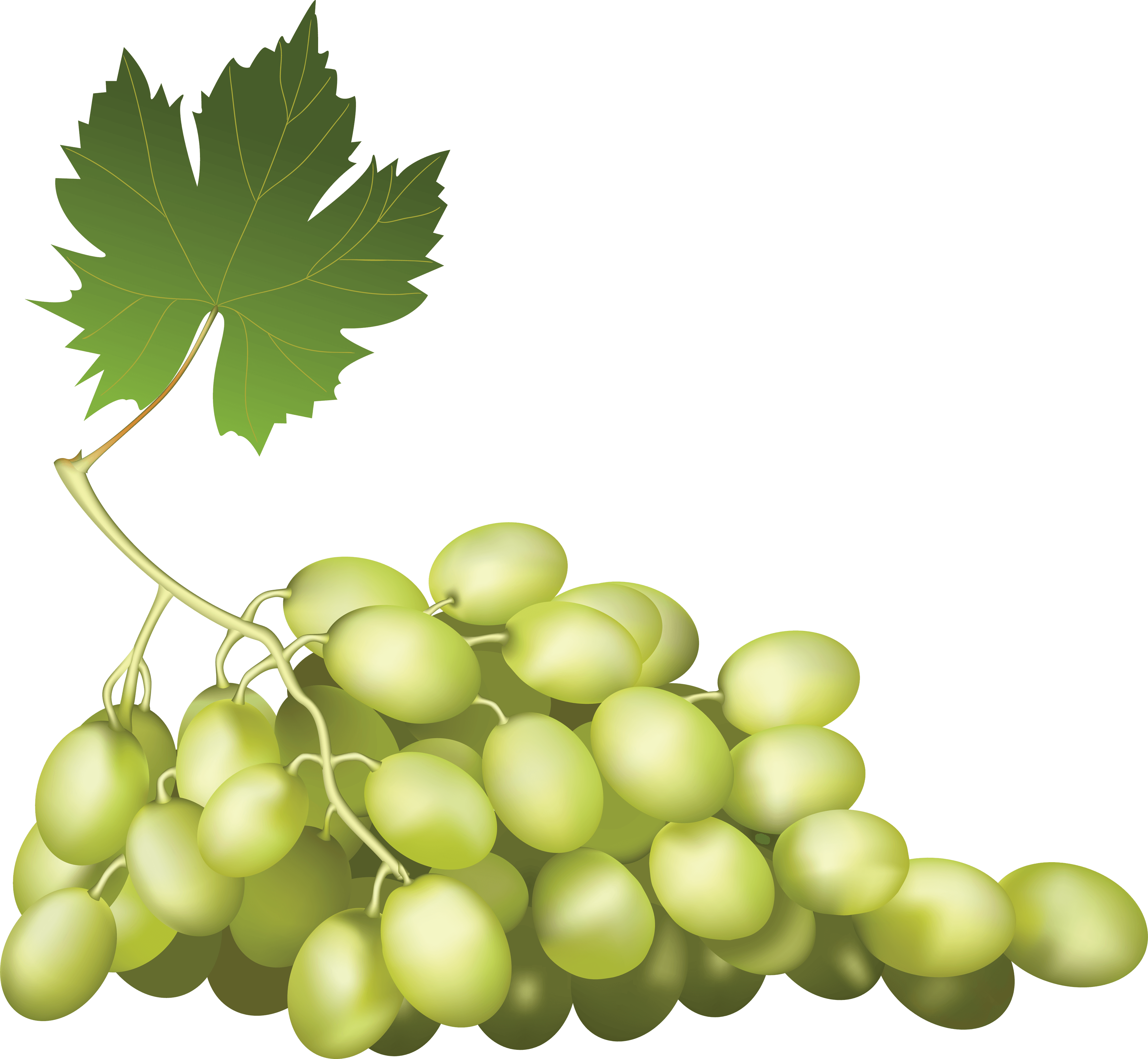 Grape Png Image PNG Image