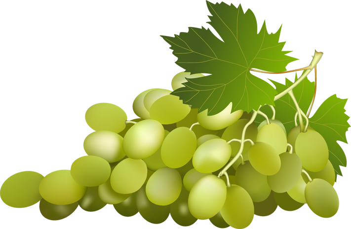 Grape Free Png Image PNG Image