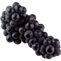 Grape Picture PNG Image