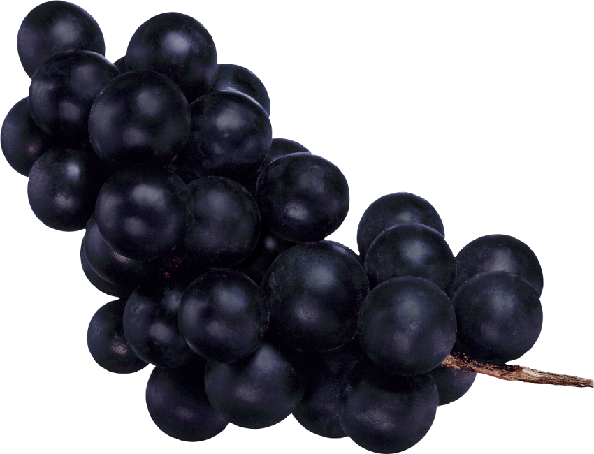 Fresh Black Grapes Bunch Free HD Image PNG Image